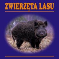 Zwierzęta lasu harmonijka. Autor:   Praca zbiorowa. SmakLiter.pl Okładka książki Zwierzęta lasu harmonijka