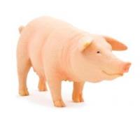 Opakowanie Maciora ANIMAL PLANET