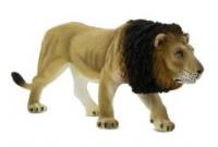 Opakowanie Samiec lwa ANIMAL PLANET