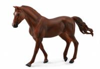 Opakowanie Klacz rasy Missouri fox maści kasztan