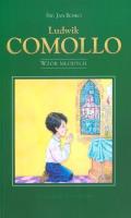 Ludwik Comollo. Wzór młodych. Autor: św. Jan Bosko. SmakLiter.pl Okładka książki Ludwik Comollo. Wzór młodych