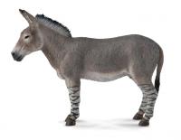 Okładka książki OSIOŁ AFRYKAŃSKI (DZIKIE - L)