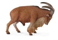 Okładka książki OWCA GRZYWIASTA (DZIKIE - L)