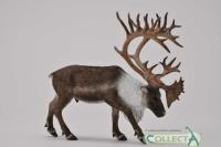 Okładka książki Renifer