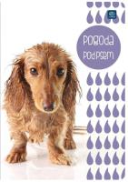 Opakowanie Zeszyt A5/16K gładki (20szt)