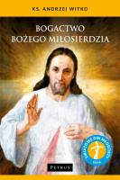 Bogactwo Bożego Miłosierdzia. Autor: Ks. Andrzej Witko. SmakLiter.pl Okładka książki Bogactwo Bożego Miłosierdzia