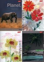 Opakowanie Zeszyt A5 w linie 80 kartek 10 sztuk mix