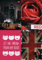 Opakowanie Brulion A5 w kratkę 96 kartek 5 sztuk mix