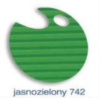 Opakowanie Tektura falista 50x70 cm jasnozielona rolka MONA