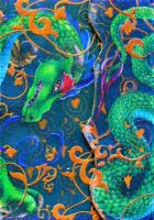 Okładka książki Magiczny notatnik. Smok