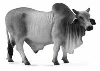 Opakowanie Byk brahman