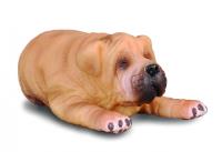 Okładka książki COLLECTA PIES RASY SHAR PEI SZCZENIE ROZMIAR S BPZ