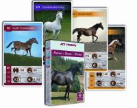 Kwartet - Konie. Karty do gry Cartamundi. Wydawca: Cartamundi. SmakLiter.pl Opakowanie Kwartet - Konie. Karty do gry Cartamundi