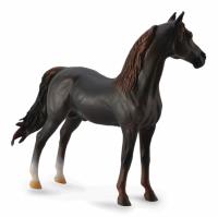 Okładka książki Ogier Morgan Stallion maści kasztanowej