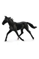 Okładka książki Ogier Standardbred Pacer czarny