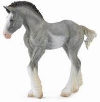 Okładka książki Źrebię Clydesdale Foal Blue Roan