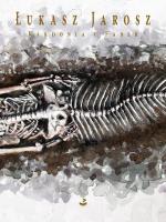 Kardonia i Faber. Autor: Jarosz Łukasz. SmakLiter.pl Okładka książki Kardonia i Faber