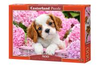 Puzzle 500 Pup in Pink Flowers CASTOR. Wydawca: Castorland. SmakLiter.pl Opakowanie Puzzle 500 Pup in Pink Flowers CASTOR