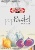 Blok do pasteli PPastel 245x345 20 ark 220g mix. Wydawca: Koh-I-Noor. SmakLiter.pl Opakowanie Blok do pasteli PPastel 245x345 20 ark 220g mix