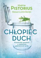 Chłopiec-duch.. Autor: Pistorius Martin, Lloyd Davies Megan. SmakLiter.pl Okładka książki Chłopiec-duch.