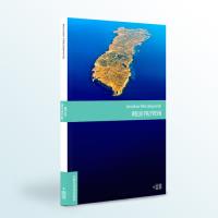 Wielki przypływ.. Autor: Mikołajewski Jarosław. SmakLiter.pl Okładka książki Wielki przypływ.