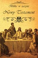 Okładka książki Biblia w zarysie. Nowy Testament