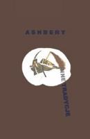 Inne tradycje. Autor: Ashbery John. SmakLiter.pl Okładka książki Inne tradycje