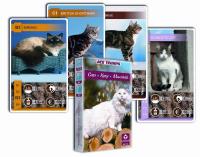 Kwartet - Koty. Karty do gry Cartamundi. Wydawca: Cartamundi. SmakLiter.pl Opakowanie Kwartet - Koty. Karty do gry Cartamundi