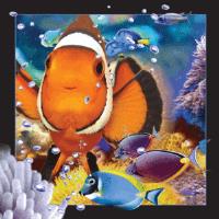 Opakowanie Magnes 3D Błazenki