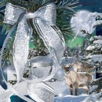 Opakowanie Magnes 3D Kokarda