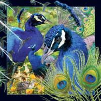 Opakowanie Magnes 3D Paw