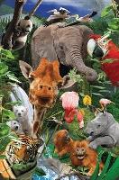 Opakowanie Mini kartka 3D Dzikie zwierzęta