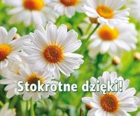 Perełka 263 Stokrotne dzięki!. Autor: Opracowanie zbiorowe. SmakLiter.pl Okładka książki Perełka 263 Stokrotne dzięki!