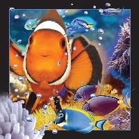 Opakowanie Pocztówka 3D Błazenki