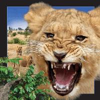 Opakowanie Pocztówka 3D Lew