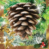 Opakowanie Pocztówka 3D Szyszka