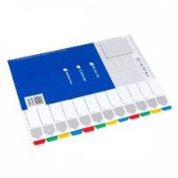 Opakowanie Przekładka A4 kartonowa 12 kolorów