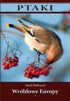 Ptaki. Wróblowe Europy cz. I TW. Autor: Paweł Mielczarek. SmakLiter.pl Okładka książki Ptaki. Wróblowe Europy cz. I TW