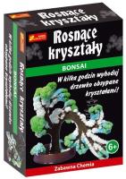Opakowanie Rosnące kryształy. Bonsai