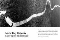 Okładka książki Ślady opon na poduszce