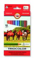 Kredki Triocolor 12 kolorów. Wydawca: Koh-I-Noor. SmakLiter.pl Opakowanie Kredki Triocolor 12 kolorów