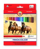 Kredki Triocolor 36 kolorów. Wydawca: Koh-I-Noor. SmakLiter.pl Opakowanie Kredki Triocolor 36 kolorów