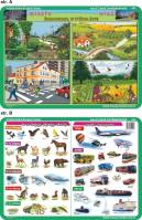 Podkładka edukacyjna  Miasto i wieś, te co biegają, pływają,. Autor: inne. SmakLiter.pl Okładka książki Podkładka edukacyjna  Miasto i wieś, te co biegają, pływają,