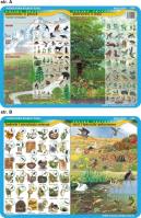 Podkładka edukacyjna Piętrowość w górach i lesie, mieszkania. Autor: inne. SmakLiter.pl Okładka książki Podkładka edukacyjna Piętrowość w górach i lesie, mieszkania