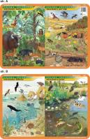 Podkładka edukacykna Mieszkańcy Bałtyku, jezior, lasów, pól. Autor: inne. SmakLiter.pl Okładka książki Podkładka edukacykna Mieszkańcy Bałtyku, jezior, lasów, pól