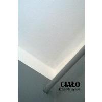 Ciało. Autor: Ptaszyński Kuba. SmakLiter.pl Okładka książki Ciało