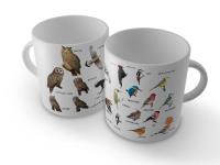 Okładka książki Kubek ptaki polski 1