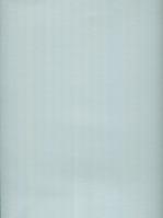 Opakowanie Segregator A4 2 ringi Silver
