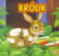 Królik JAFI. Autor: Urszula Marcinek. SmakLiter.pl Okładka książki Królik JAFI