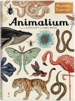 Animalium. Autor: Broom Jenny. SmakLiter.pl Okładka książki Animalium